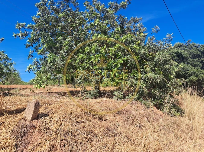 Terreno para Venda em Paderne Foto 9