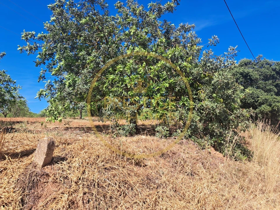 Terreno para Venda em Paderne Foto 9