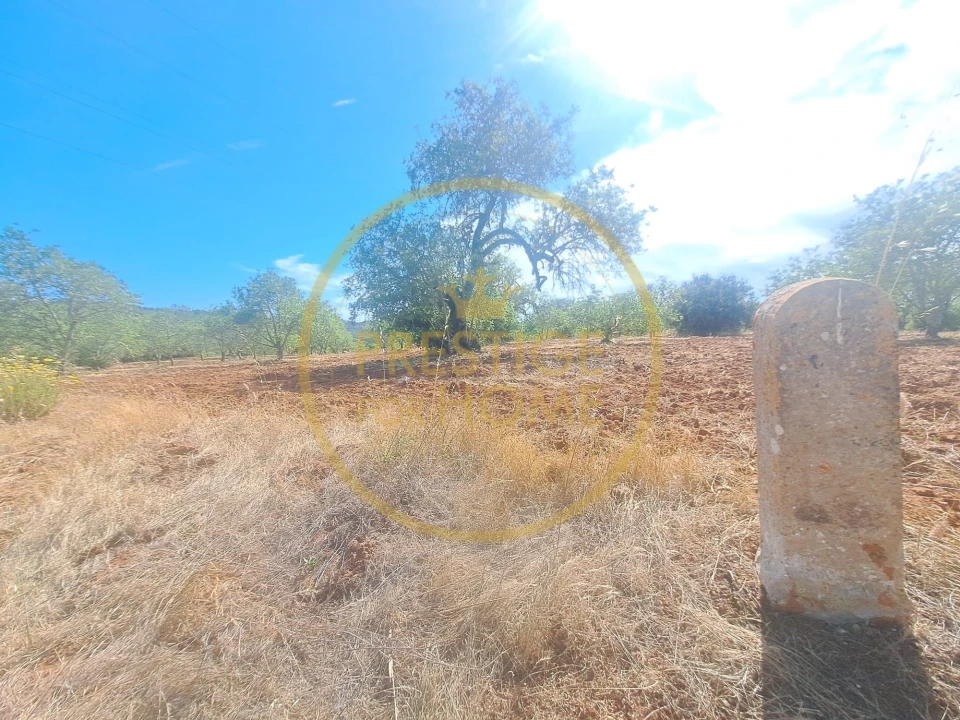 Terreno para Venda em Paderne Foto 8