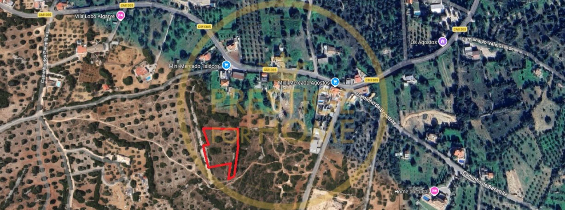 Terreno para Venda em Santa Barbara de Nexe Foto 1