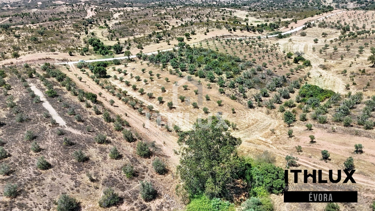 Terreno Agricola ou Rústico para Venda em Portel Foto 3