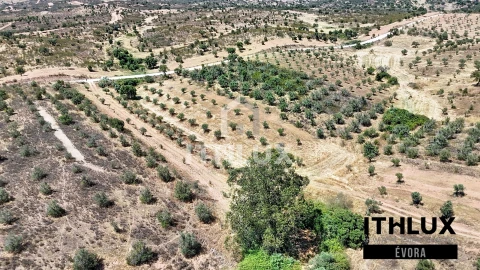 Terreno Agricola ou Rústico para Venda em Portel