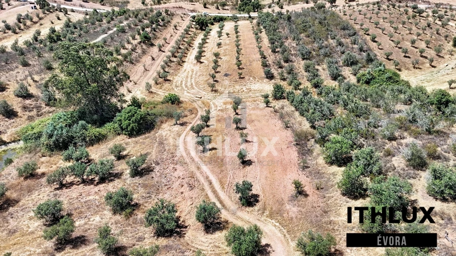 Terreno Agricola ou Rústico para Venda em Portel