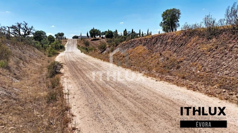 Terreno Agricola ou Rústico para Venda em Portel