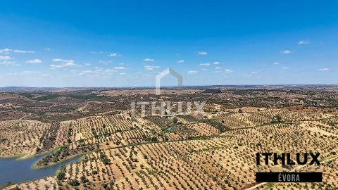 Terreno Agricola ou Rústico para Venda em Portel