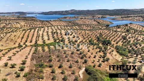 Terreno Agricola ou Rústico para Venda em Portel