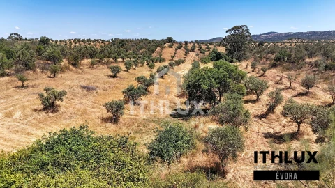 Terreno Agricola ou Rústico para Venda em Portel