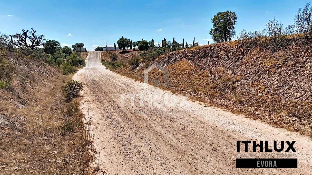 Terreno Agricola ou Rústico para Venda em Portel Foto 9
