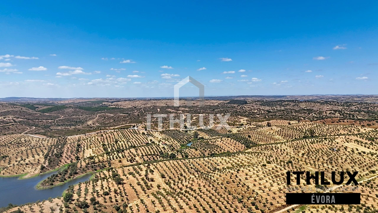 Terreno Agricola ou Rústico para Venda em Portel Foto 10