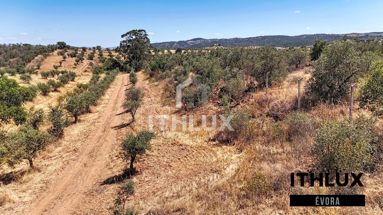 Terreno Agricola ou Rústico para Venda em Portel Foto 5