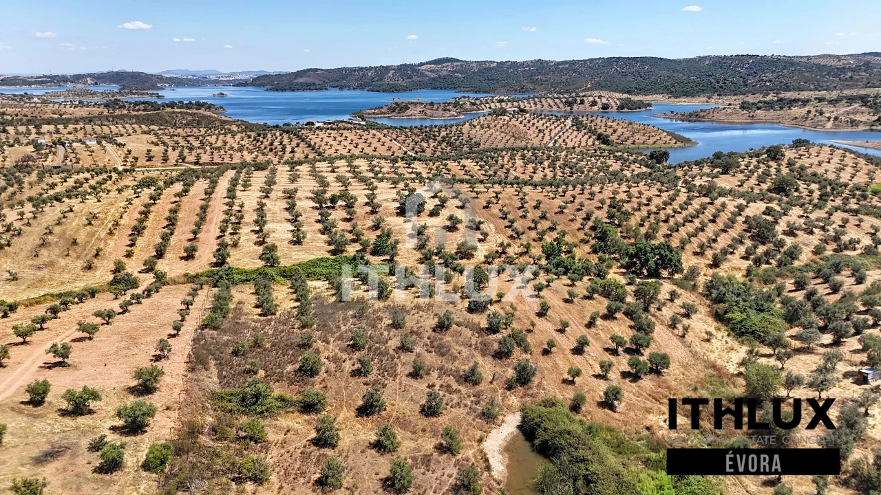 Terreno Agricola ou Rústico para Venda em Portel Foto 7