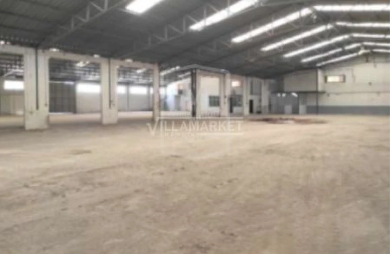 Armazém para Venda em Torres Novas (Santa Maria, Salvador e Santiago) Foto 4