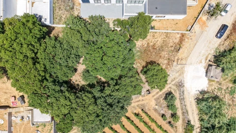 Terreno para Venda em Mafra