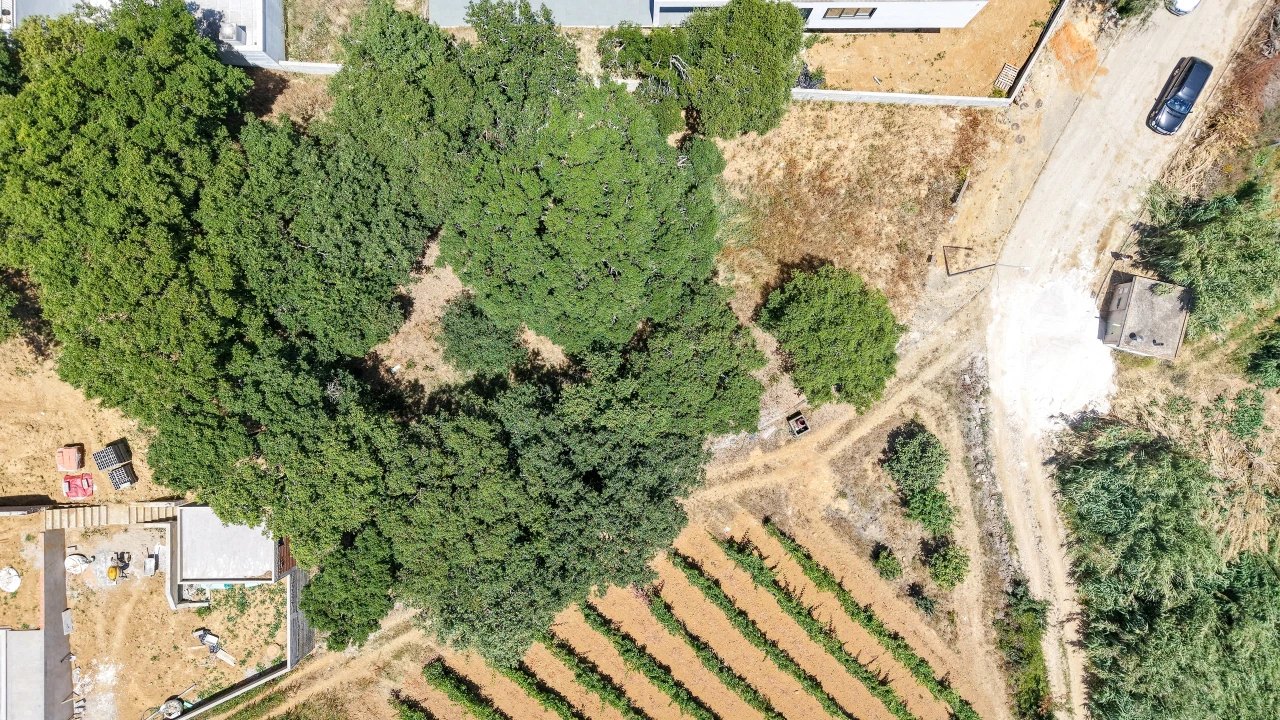 Terreno para Venda em Mafra Foto 13