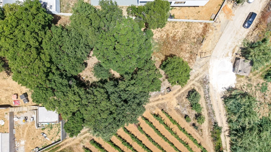 Terreno para Venda em Mafra Foto 13