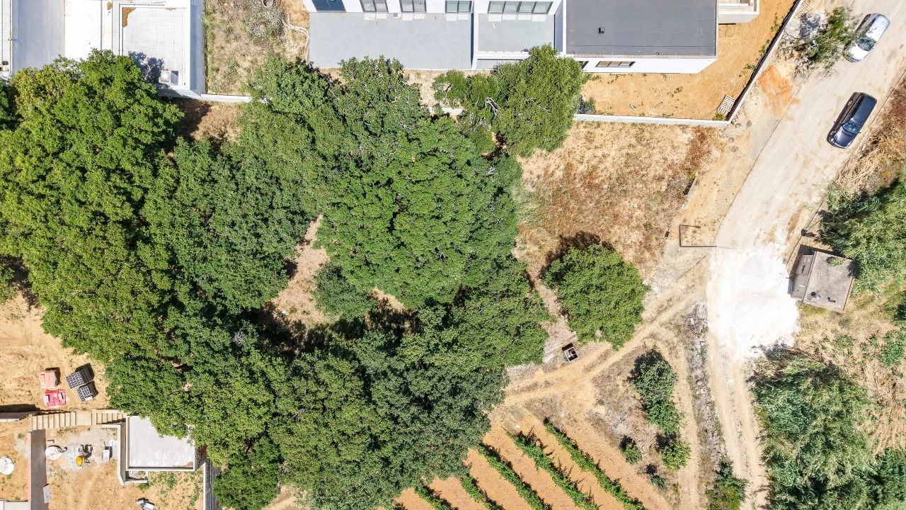 Terreno para Venda em Mafra Foto 15