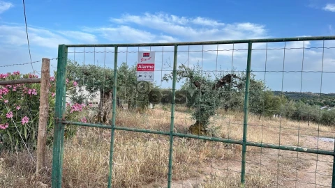 Terreno Agricola ou Rústico para Venda em Vera Cruz