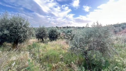 Terreno Agricola ou Rústico para Venda em Vera Cruz
