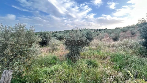 Terreno Agricola ou Rústico para Venda em Vera Cruz
