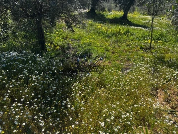 Terreno Agricola ou Rústico para Venda em Vera Cruz