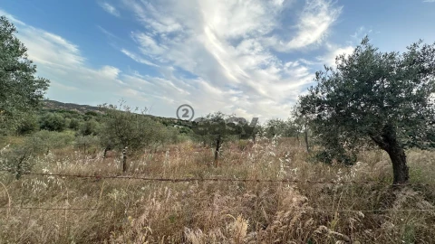 Terreno Agricola ou Rústico para Venda em Vera Cruz