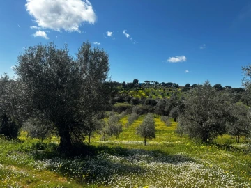 Terreno Agricola ou Rústico para Venda em Vera Cruz