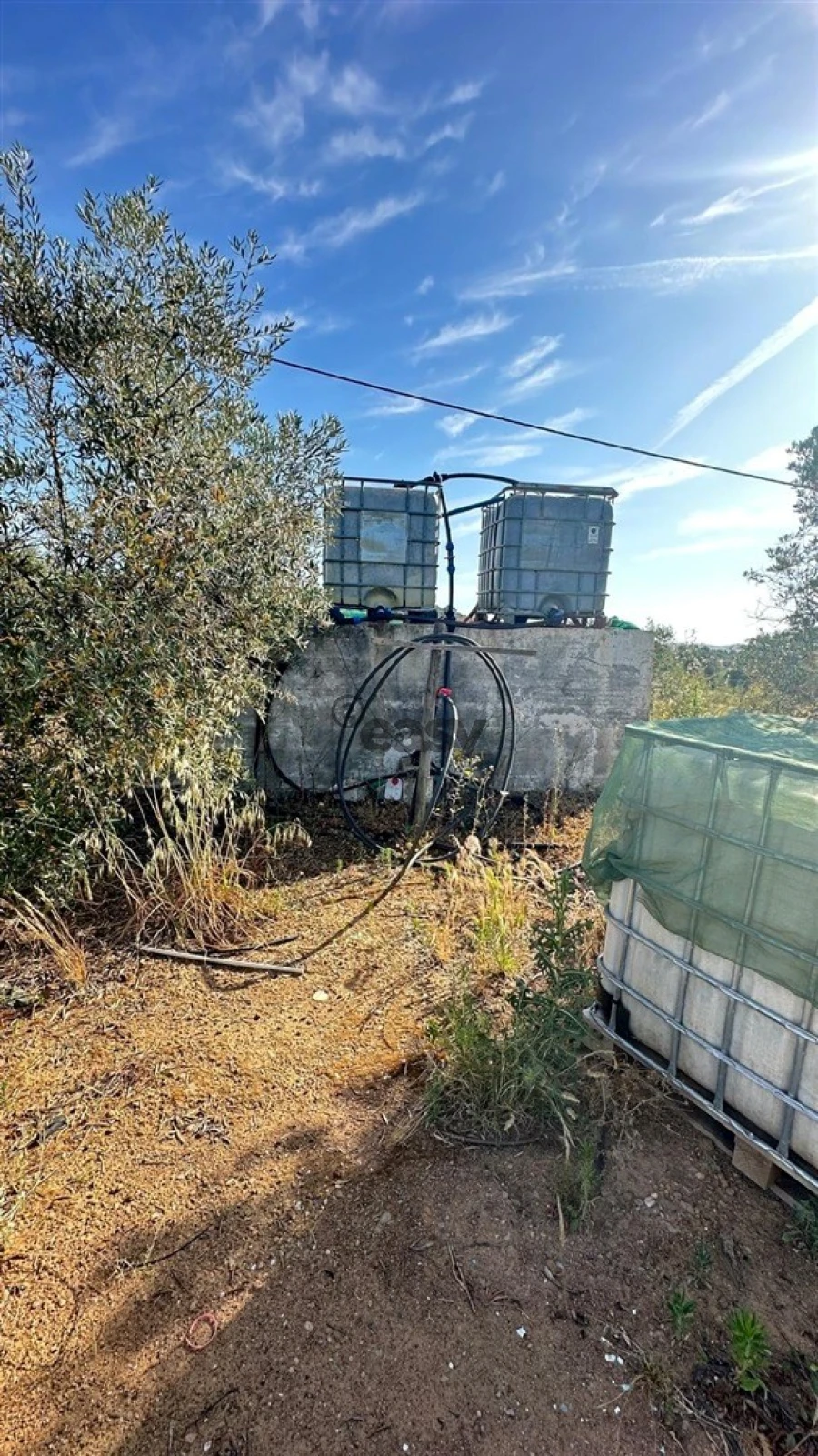 Terreno Agricola ou Rústico para Venda em Vera Cruz Foto 15