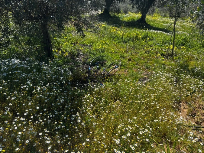 Terreno Agricola ou Rústico para Venda em Vera Cruz Foto 8
