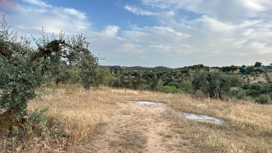 Terreno Agricola ou Rústico para Venda em Vera Cruz Foto 10