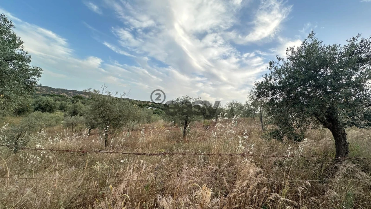Terreno Agricola ou Rústico para Venda em Vera Cruz Foto 11