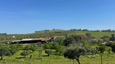 Quinta T0 para Venda em Messejana