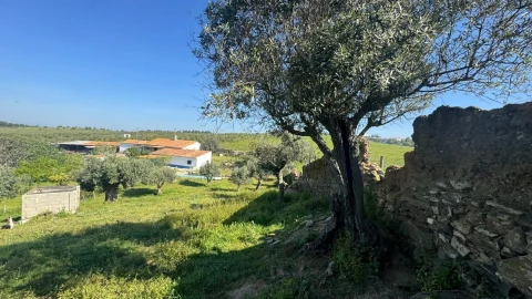 Quinta T0 para Venda em Messejana