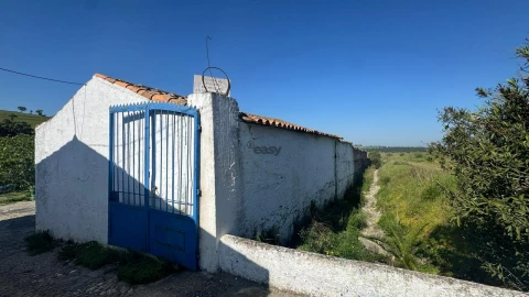 Quinta T0 para Venda em Messejana