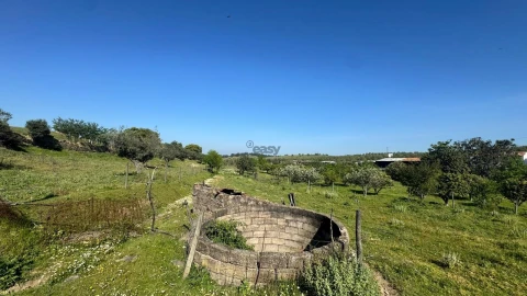 Quinta T0 para Venda em Messejana