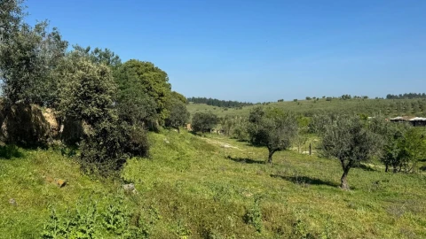 Quinta T0 para Venda em Messejana