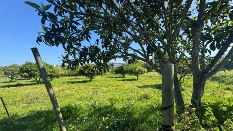 Quinta T0 para Venda em Messejana