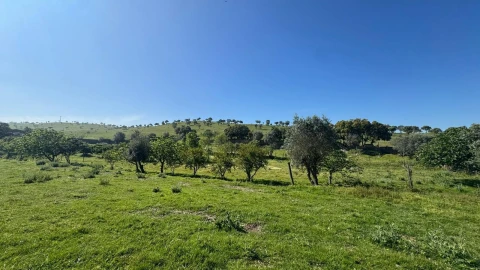 Quinta T0 para Venda em Messejana