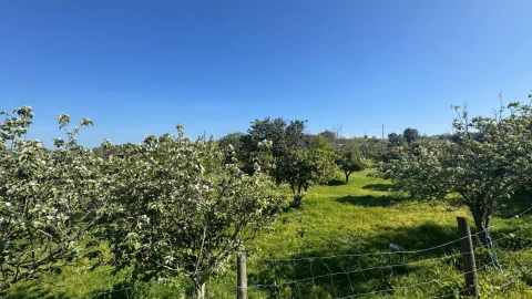 Quinta T0 para Venda em Messejana