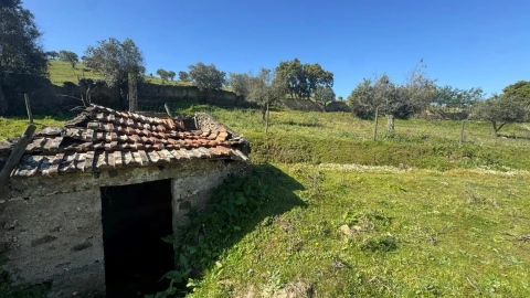 Quinta T0 para Venda em Messejana