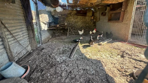 Quinta T0 para Venda em Messejana
