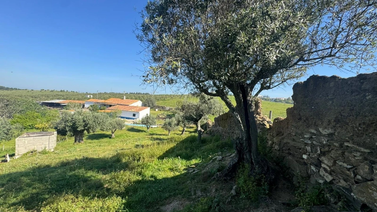 Quinta T0 para Venda em Messejana Foto 32