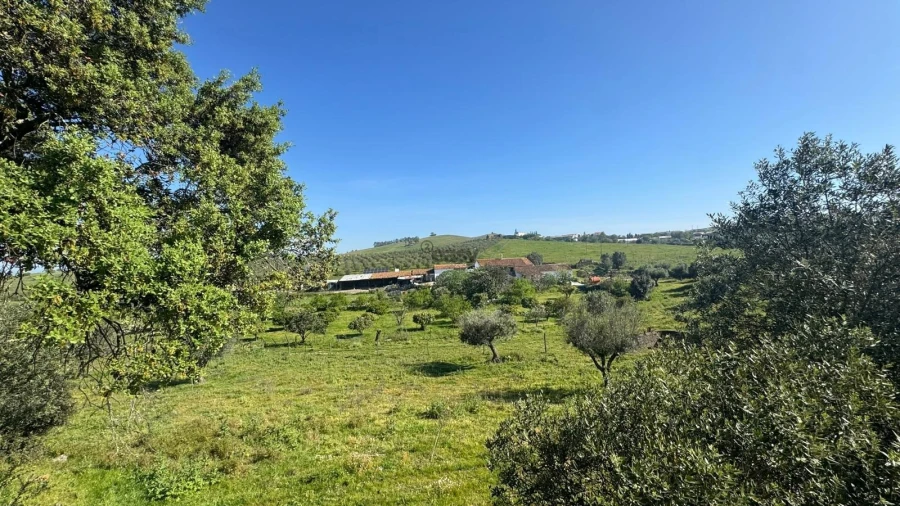 Quinta T0 para Venda em Messejana Foto 18
