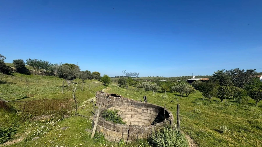 Quinta T0 para Venda em Messejana Foto 47