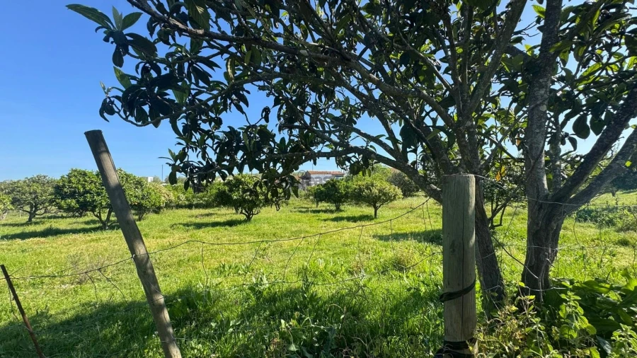Quinta T0 para Venda em Messejana Foto 11