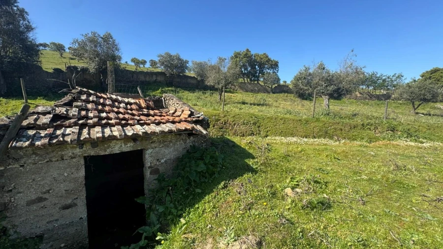 Quinta T0 para Venda em Messejana Foto 9