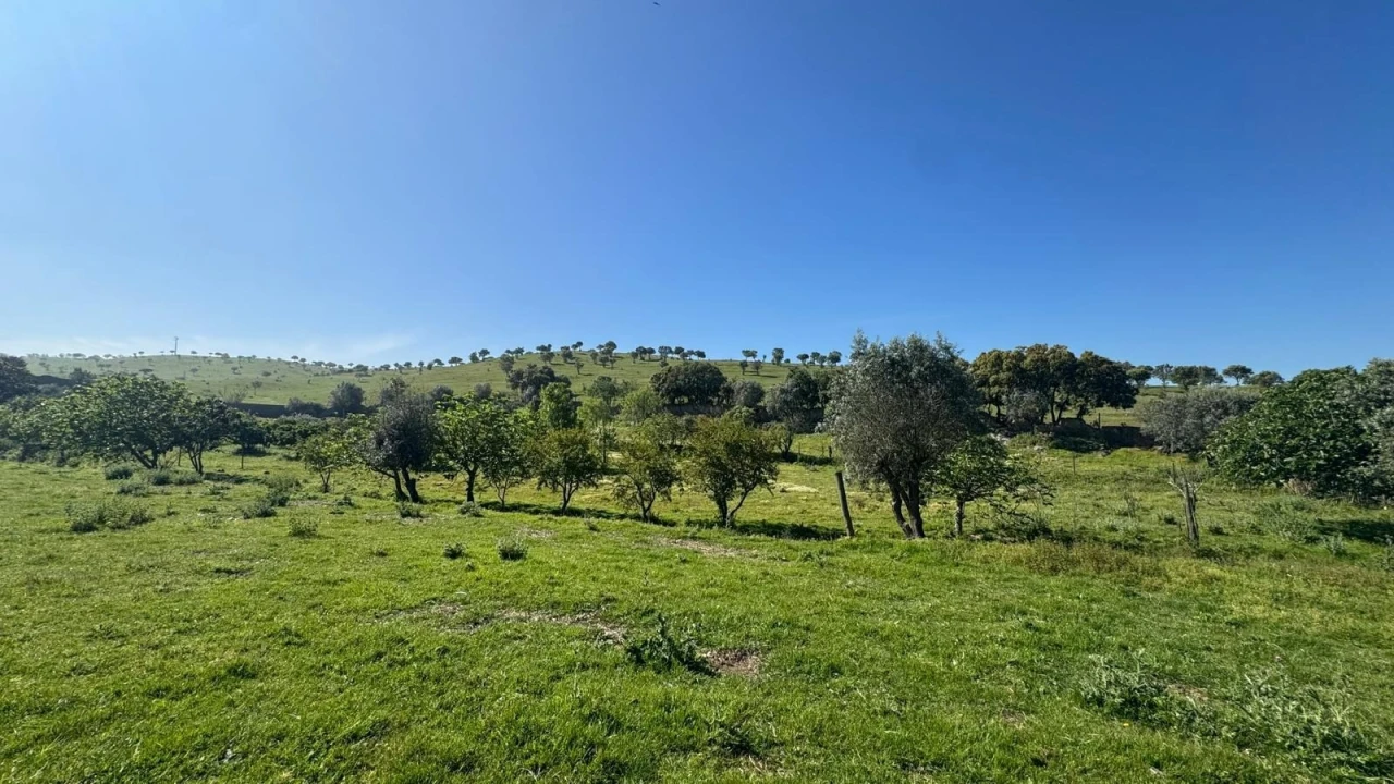 Quinta T0 para Venda em Messejana Foto 23