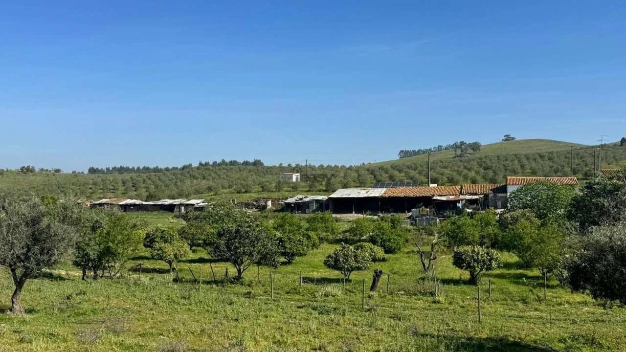 Quinta T0 para Venda em Messejana Foto 38