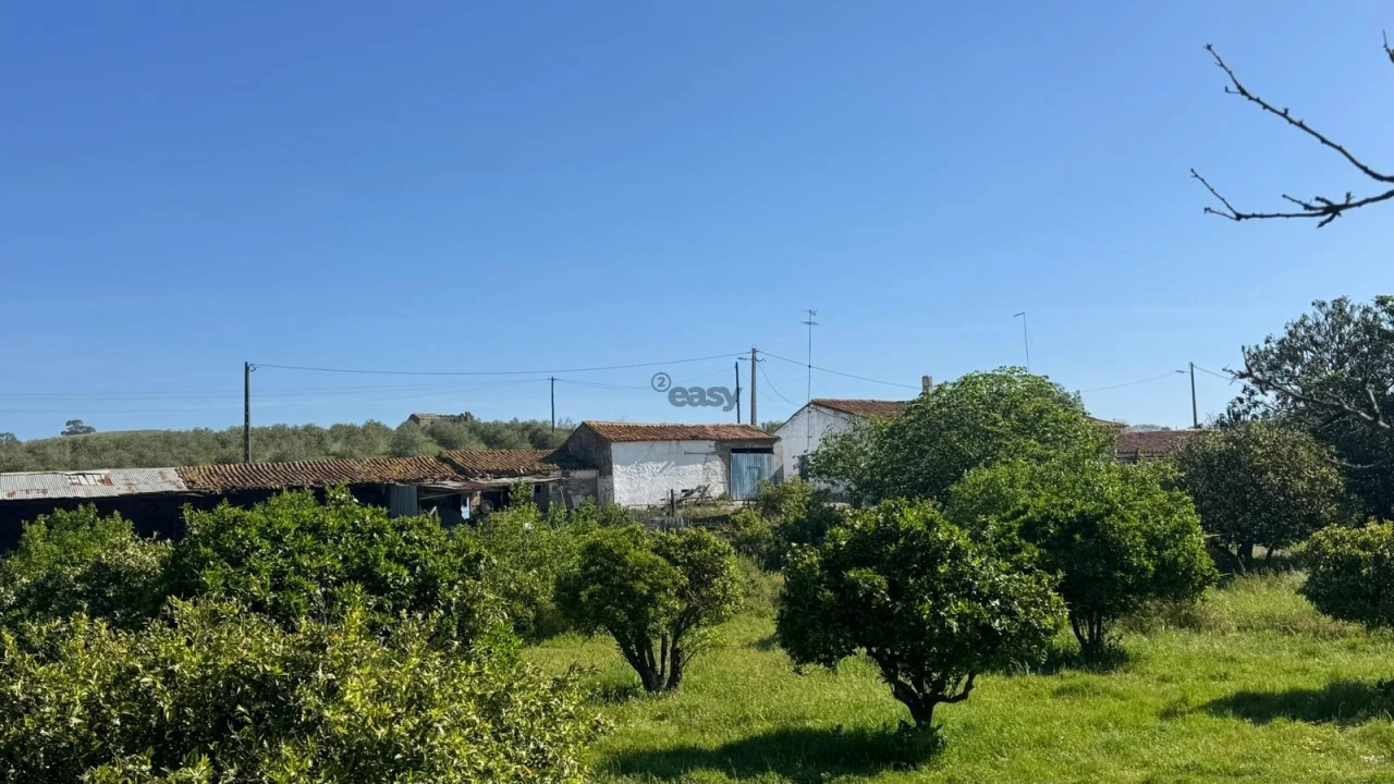 Quinta T0 para Venda em Messejana Foto 45