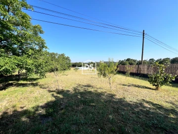 Moradia T5 para Venda em Juncal