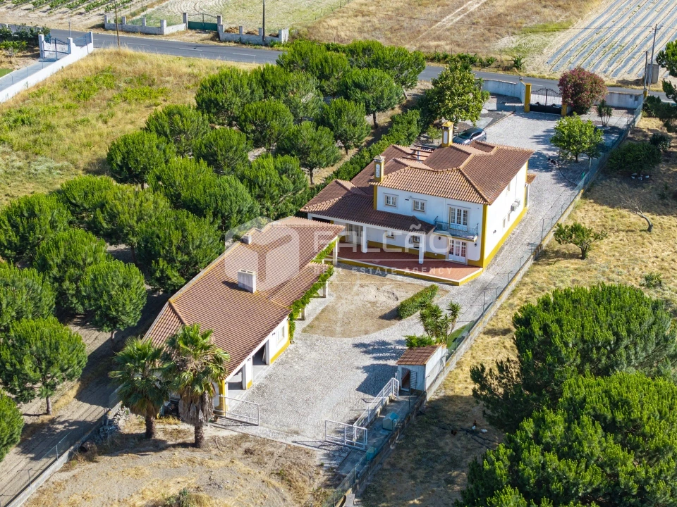 Moradia T4 para Venda em Almeirim Foto 77